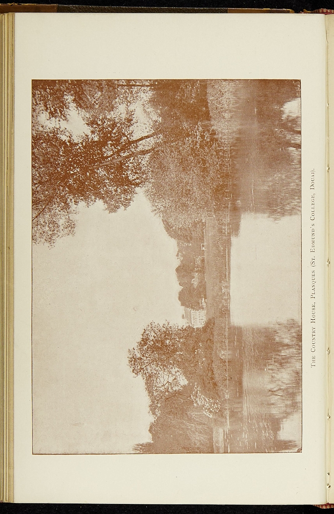 img0002.jpg